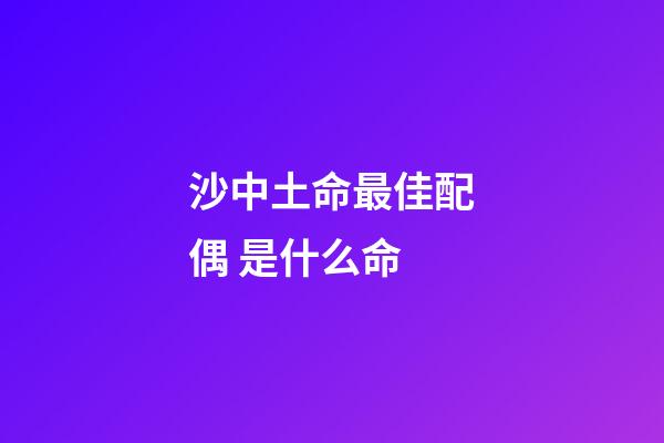 沙中土命最佳配偶 是什么命
